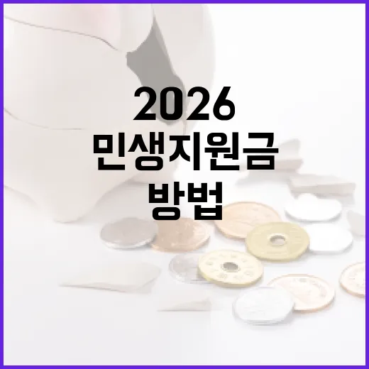 2026 민생지원금을 효과적으로 활용하는 방법 - 요약