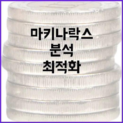 마키나락스를 활용하여 금융 분석을 최적화하는 방법 - 요약