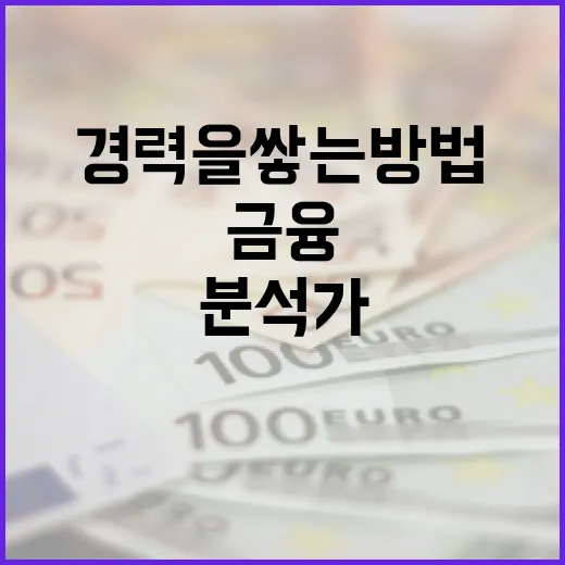 금융 분석가로 성공적으로 경력을 쌓는 방법 - 요약