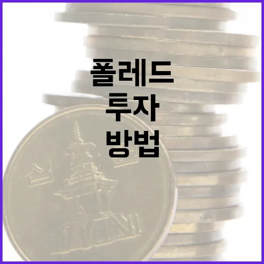 폴레드를 활용한 스마트한 투자 방법 - 요약