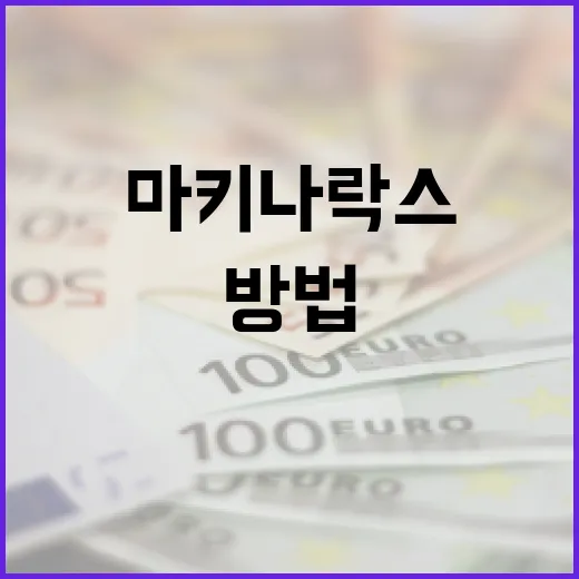 마키나락스를 이해하고 활용하는 방법 - 요약