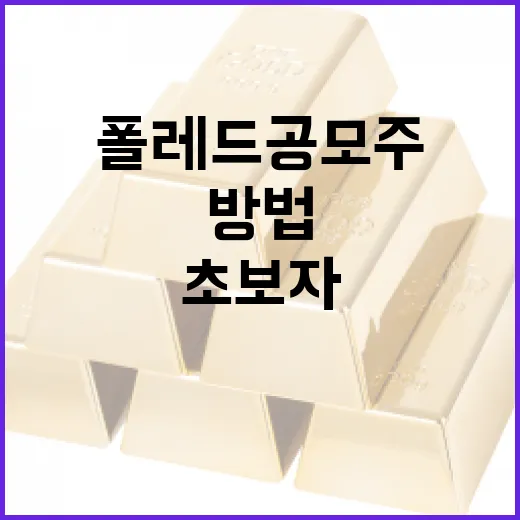 폴레드 공모주 투자하는 방법: 초보자를 위한 가이드 - 요약
