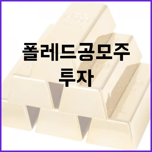 폴레드 공모주 투자 방법: 성공적으로 접근하는 법 - 요약