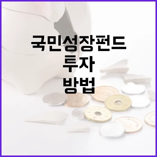 국민성장펀드를 활용하여 투자 포트폴리오를 강화하는 방법 - 요약