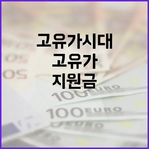 고유가 시대에 효과적으로 지원금을 활용하는 방법 - 요약