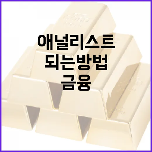 한영애의 경력을 통해 성공적으로 금융 애널리스트가 되는 방법 - 요약