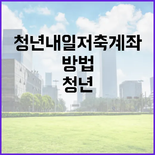 청년내일저축계좌를 효과적으로 활용하는 방법 - 요약