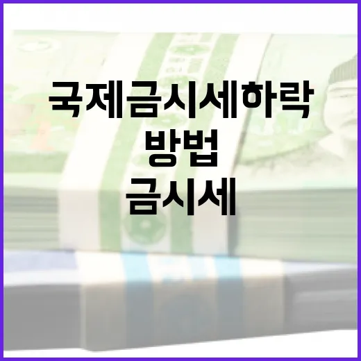 국제 금시세 하락을 이해하고 대비하는 방법 - 요약