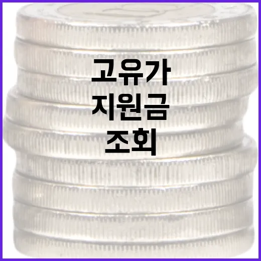 고유가지원금 조회하는 방법: 절차와 유용한 팁 - 요약