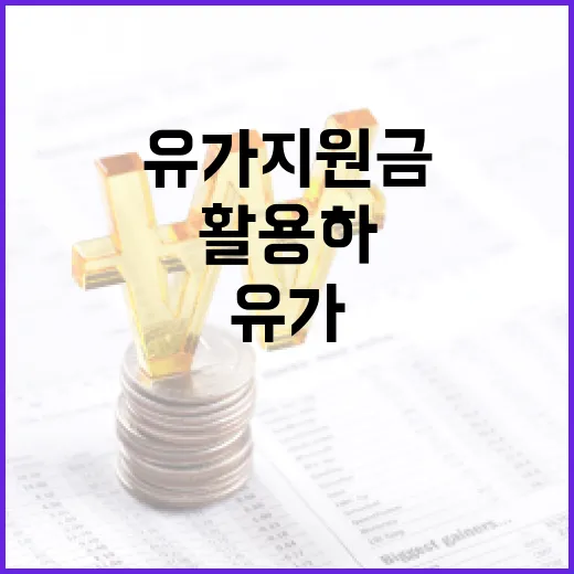 유가지원금을 효과적으로 활용하는 방법 - 요약