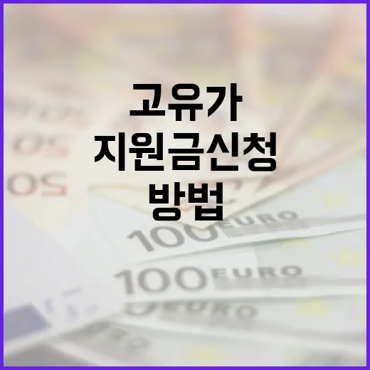 고유가 지원금 신청하는 방법: 절차와 유의사항 - 요약