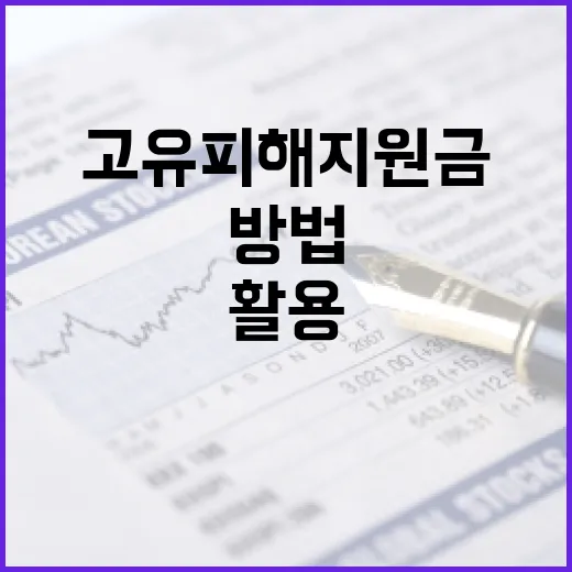 고유피해지원금을 효율적으로 활용하는 방법 - 요약