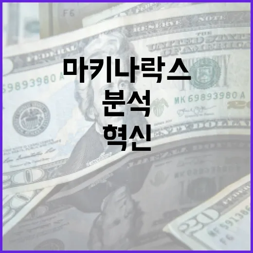 마키나락스를 활용하여 금융 분석을 혁신하는 방법 - 요약
