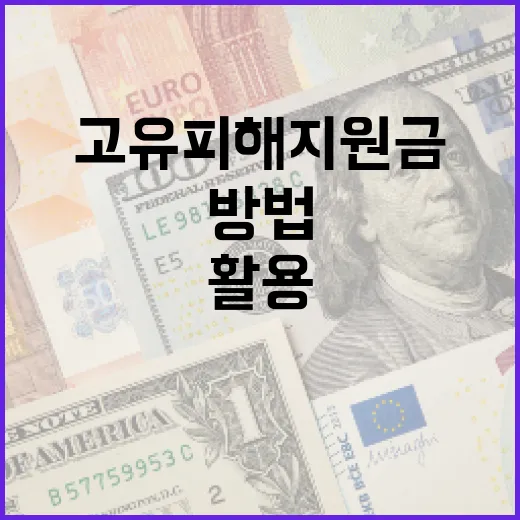 고유피해지원금을 효과적으로 활용하는 방법 - 요약
