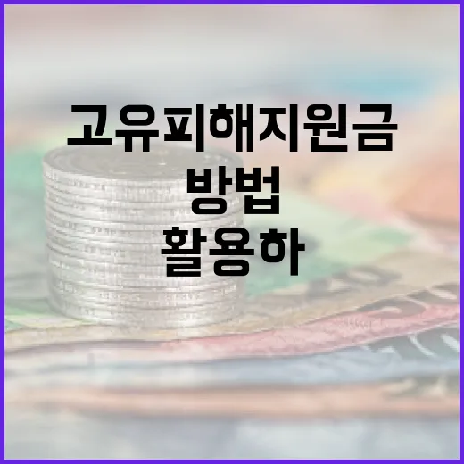 고유피해지원금을 최대한 활용하는 방법 - 요약