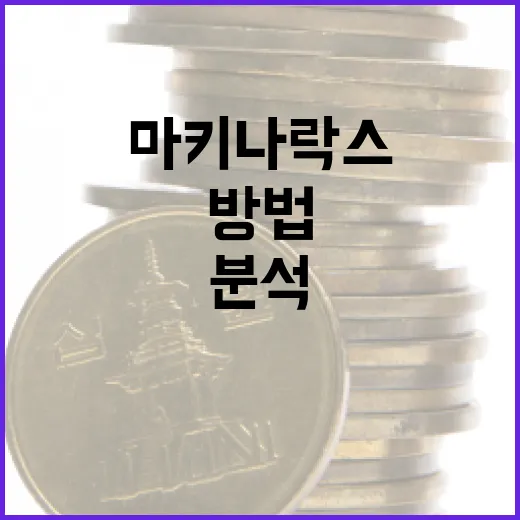 마키나락스를 활용하여 데이터 분석 효율성을 높이는 방법 - 요약
