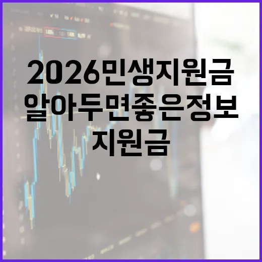 2026 민생지원금, 알아두면 좋은 정보 - 요약