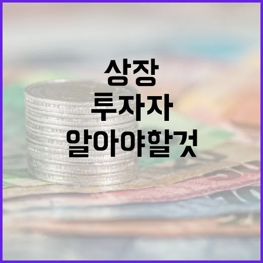 스페이스X 상장을 위한 준비: 투자자라면 알아야 할 것들 - 요약