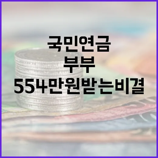 부부가 국민연금으로 554만원 받는 비결 - 요약