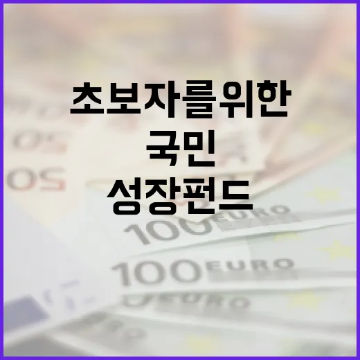 국민성장펀드 활용법: 초보자를 위한 안내 - 요약
