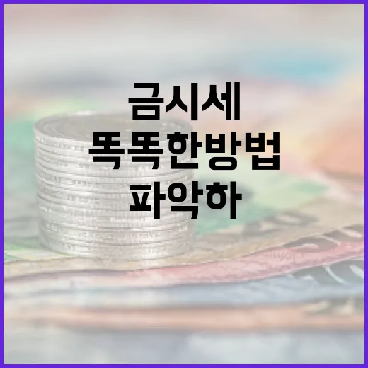 금시세를 파악하는 똑똑한 방법 - 요약