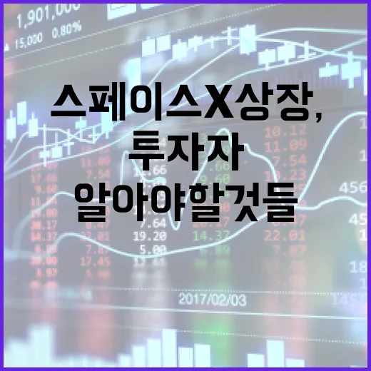 스페이스X 상장, 투자자들이 알아야 할 것들 - 요약
