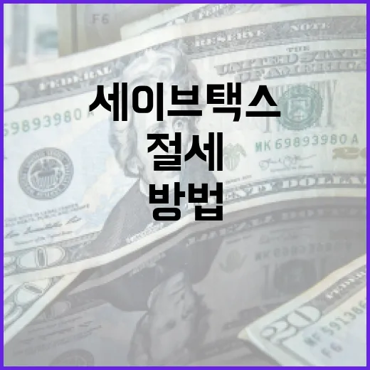 세이브택스로 절세하는 방법: 더 똑똑한 재테크 전략 - 요약