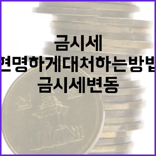 금시세 변동, 현명하게 대처하는 방법 - 요약