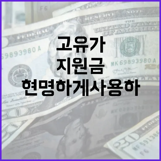고유가지원금 현명하게 사용하는 방법 - 요약