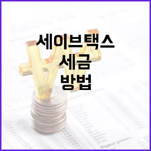 세이브택스로 세금 절약하는 방법 - 요약