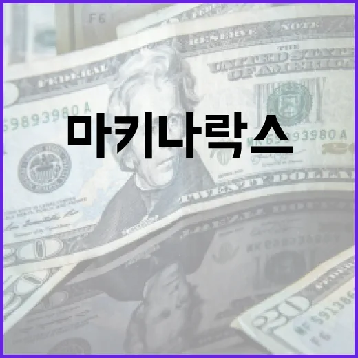 마키나락스를 통해 본 AI의 미래: 어떻게 활용할까? - 요약