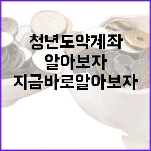 청년도약계좌, 지금 바로 알아보자! - 요약