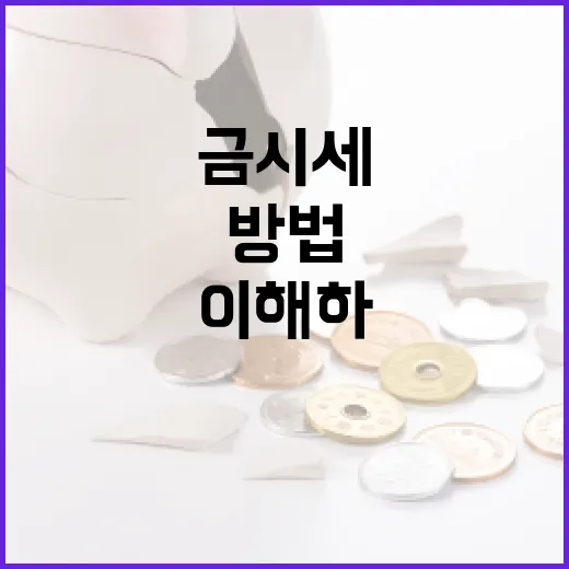 금시세를 이해하고 활용하는 방법 - 요약