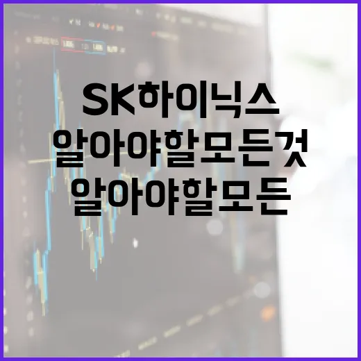 SK하이닉스에 대해 알아야 할 모든 것 - 요약