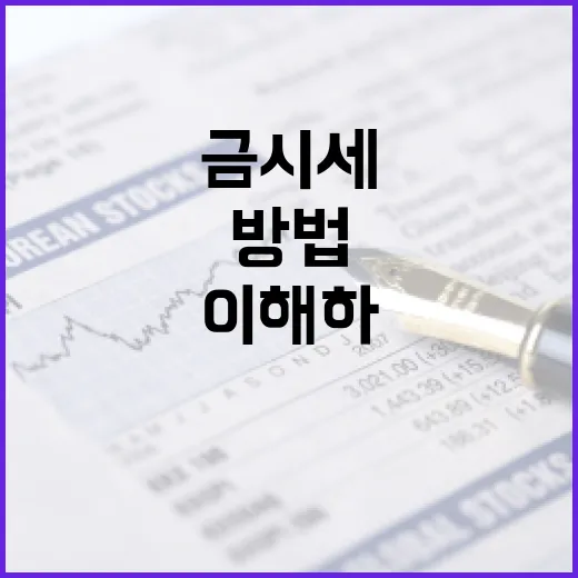 금시세를 이해하고 활용하는 방법 - 요약