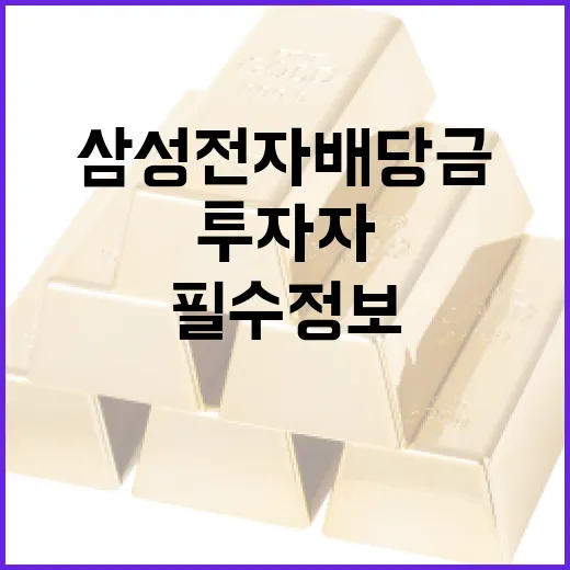 삼성전자 배당금 이해하기: 투자자를 위한 필수 정보 - 요약