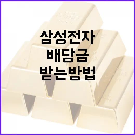 삼성전자 배당금, 알차게 받는 방법 - 요약