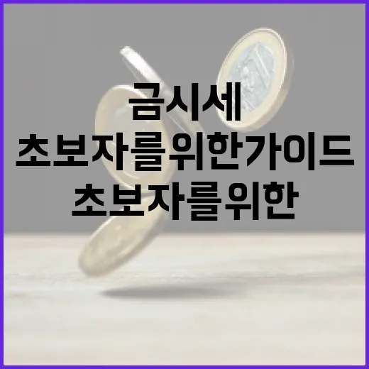 금시세를 이해하는 방법: 초보자를 위한 가이드 - 요약
