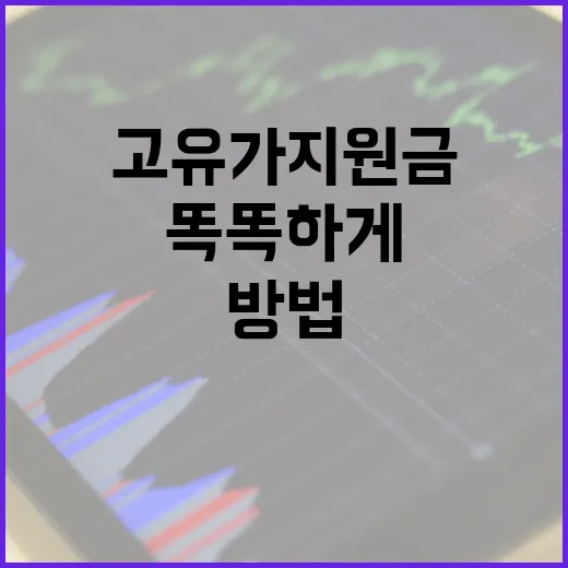 고유가지원금, 똑똑하게 사용하는 방법 - 요약