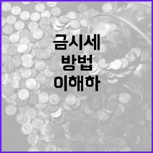 금시세를 이해하고 활용하는 방법 - 요약