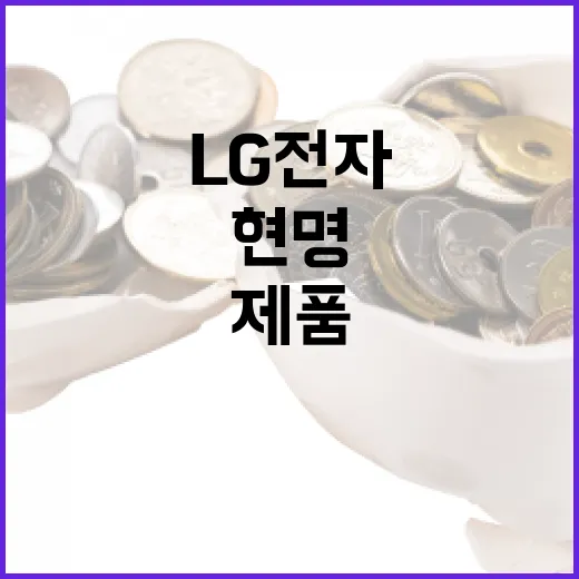 LG전자 제품을 현명하게 선택하는 방법 - 요약
