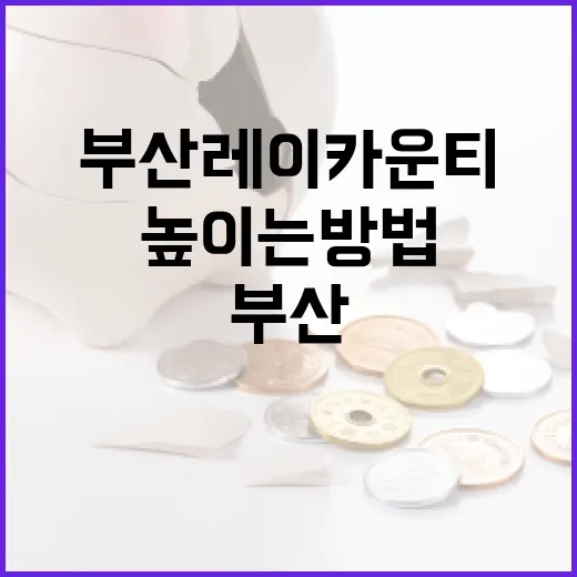부산 레이카운티에서 생활의 질 높이는 방법 - 요약