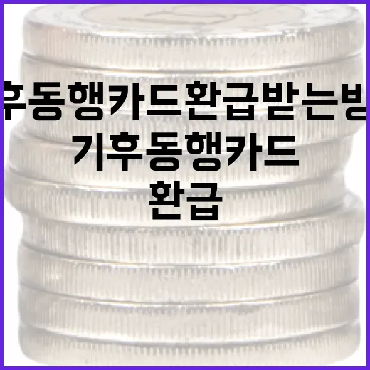 기후동행카드 환급 받는 방법, 알아두면 유용한 팁 - 요약