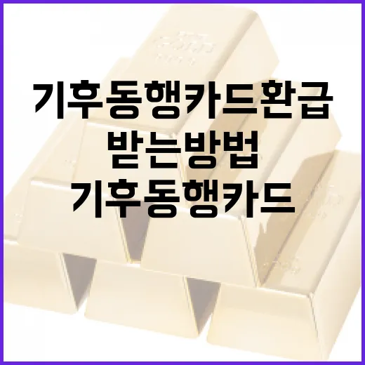 기후동행카드 환급 받는 방법: 시작부터 끝까지 - 요약