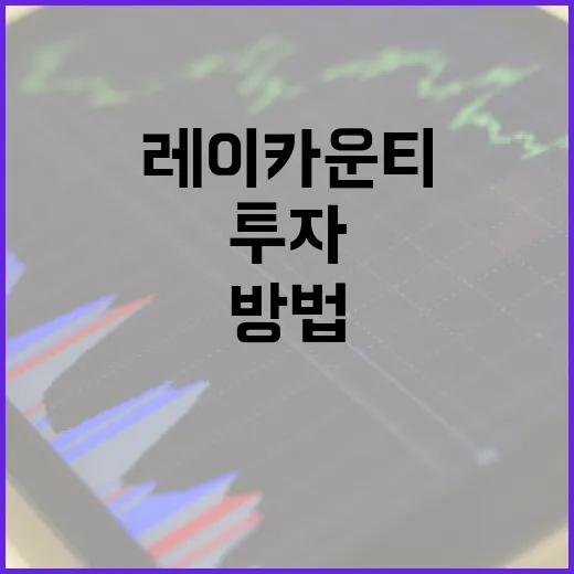 레이카운티를 이해하는 방법: 투자의 관점에서 - 요약