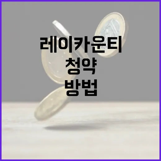 레이카운티 청약, 성공적으로 준비하는 방법 - 요약