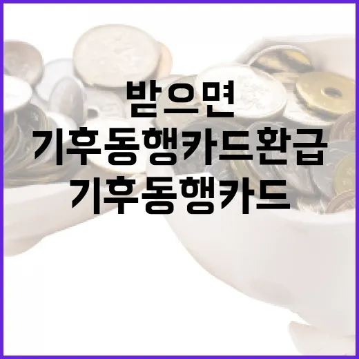 기후동행카드 환급, 이렇게 받으면 끝! - 요약