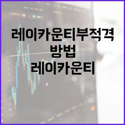 레이카운티 부적격 문제를 피하는 방법 - 요약