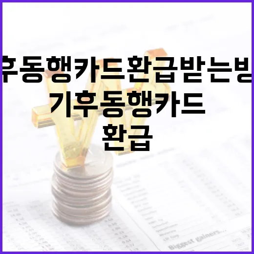 기후동행카드 환급받는 방법: 알아두면 쏠쏠한 팁 - 요약