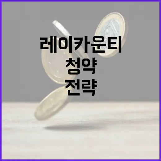 레이카운티 청약 성공을 위한 팁과 전략 - 요약